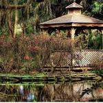 Washington Oaks Gardens State Park
