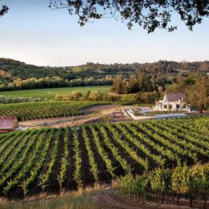 Kistler Vineyard Tasting