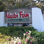 St. Augustine Alligator Farm Zoological Park