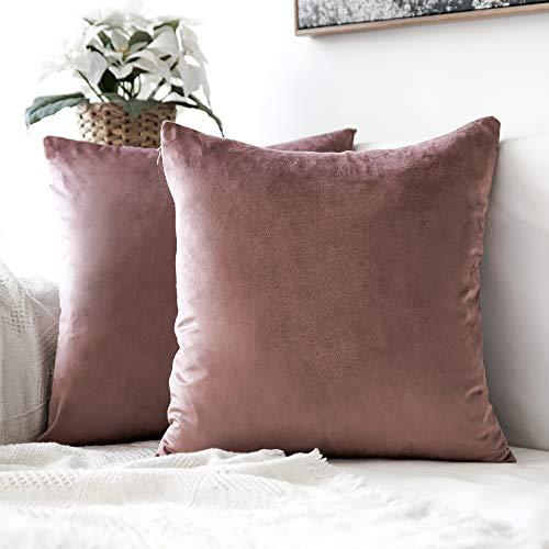 MIULEE Pack of 2 Decorative Velvet Pillow Covers Soft Square Throw Pillow Covers Soild Cushion Covers Jam Pillow Cases for Sofa Bedroom Car 18 x 18 Inch 45 x 45 cm