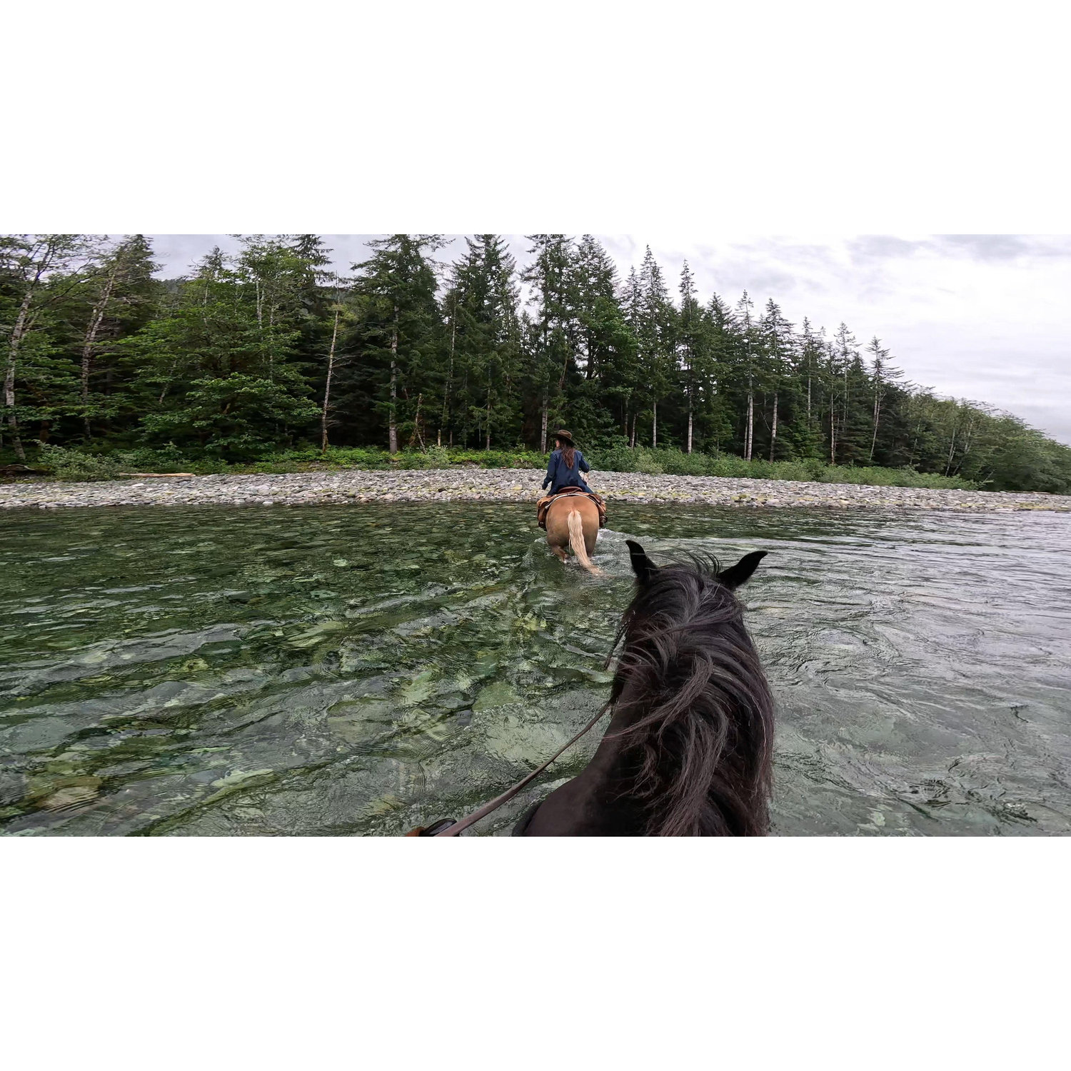 Horseback riding