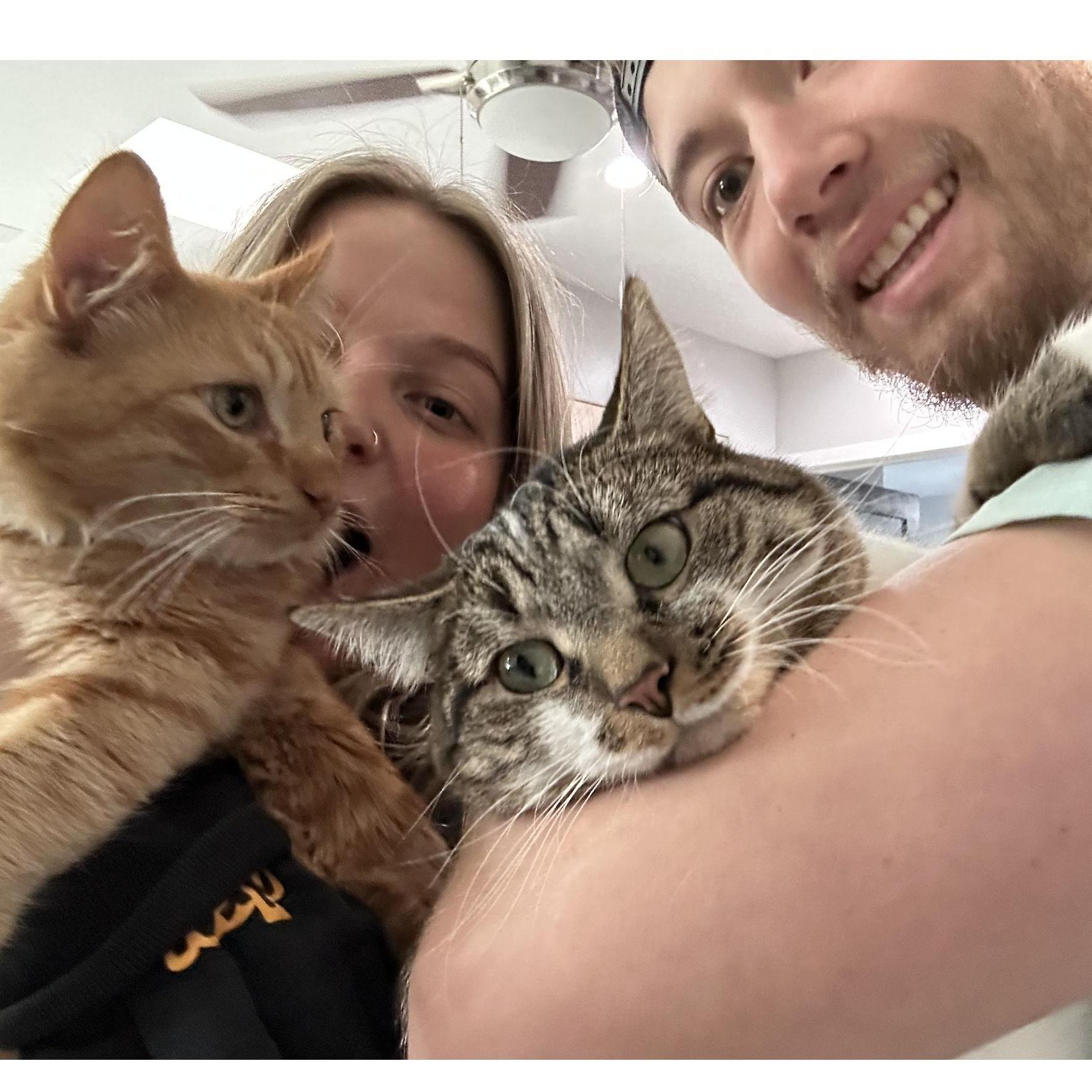 Getting ready for our first road trip with both cats to move from LA to Montana.