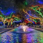 Houston Zoo