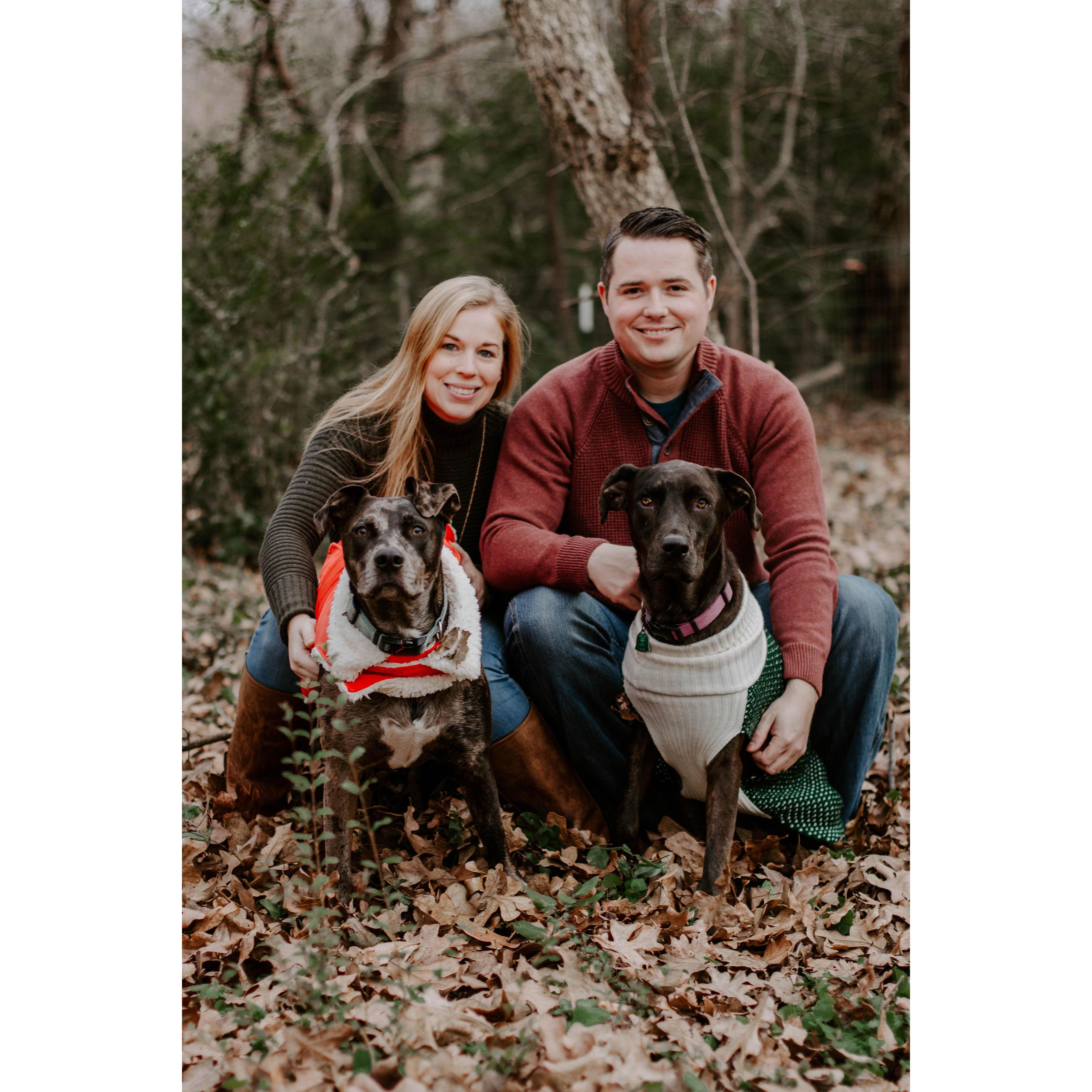 First Christmas with Penny joining our family!