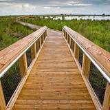 Fontainebleau State Park
