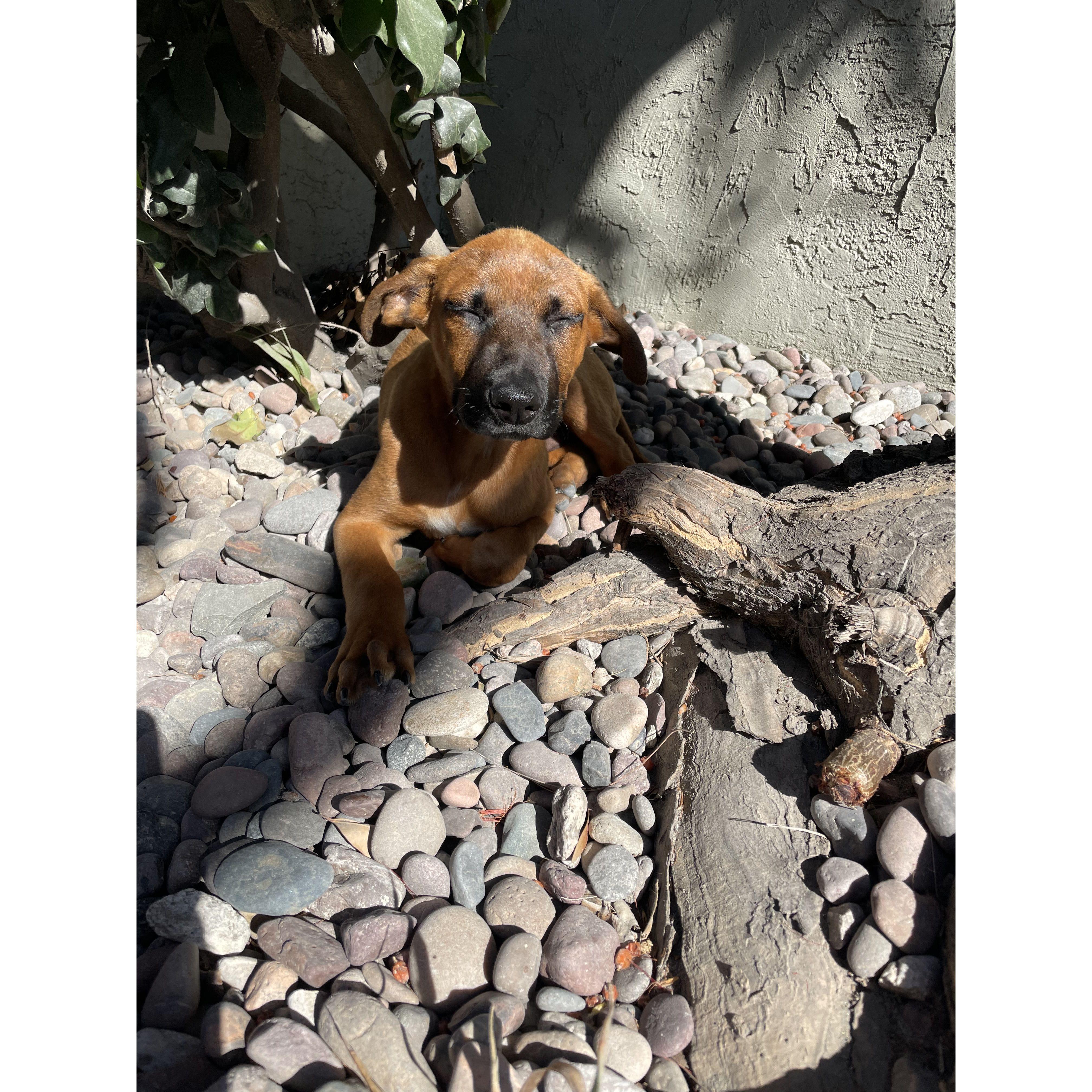 The day we got our BOY