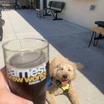 Earnest Brew Works Downtown