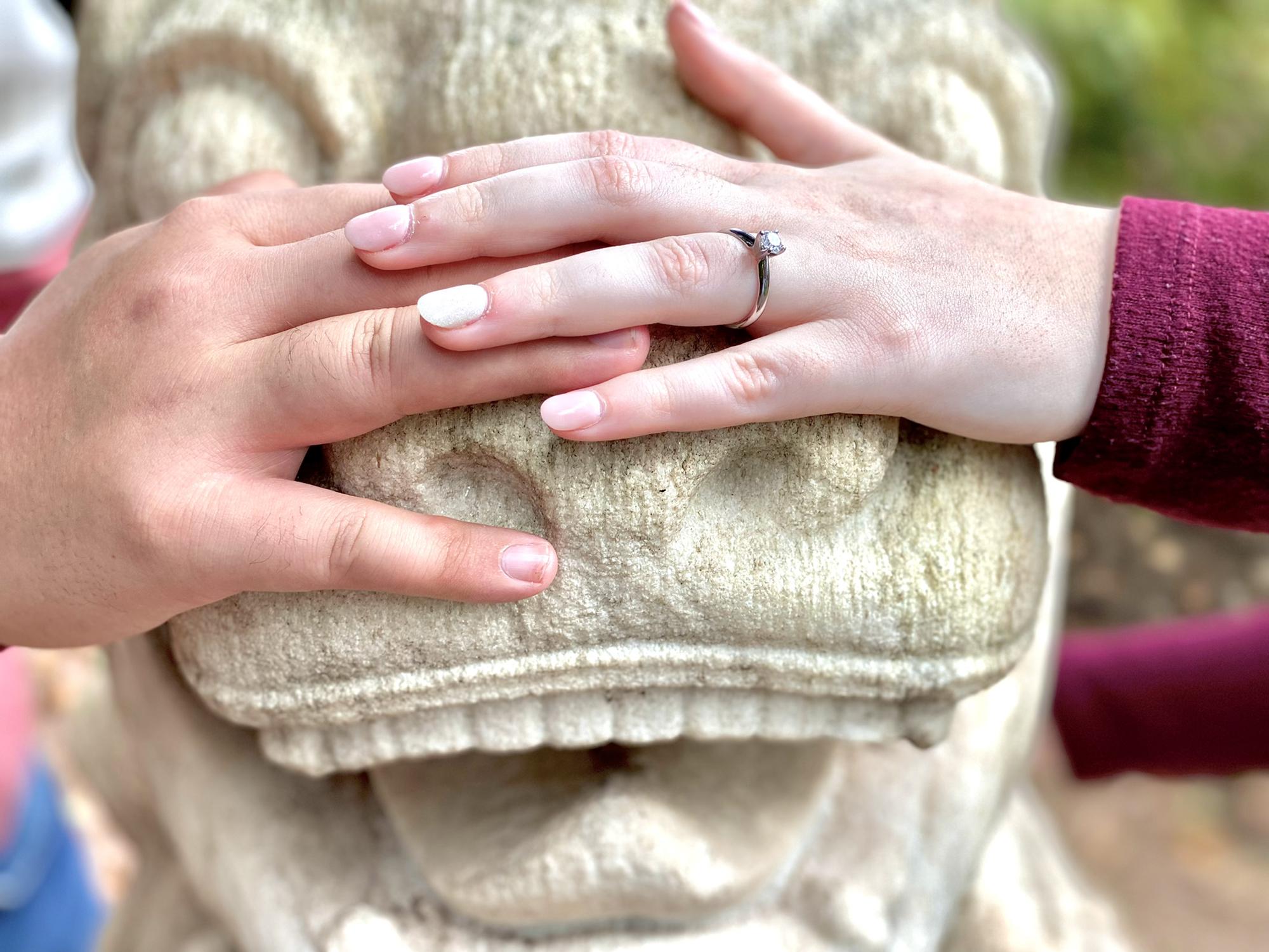 Viki and Frank got engaged in the Oriental Gardens at Wickham Park, close to the Emerald Room and Irish Gardens!