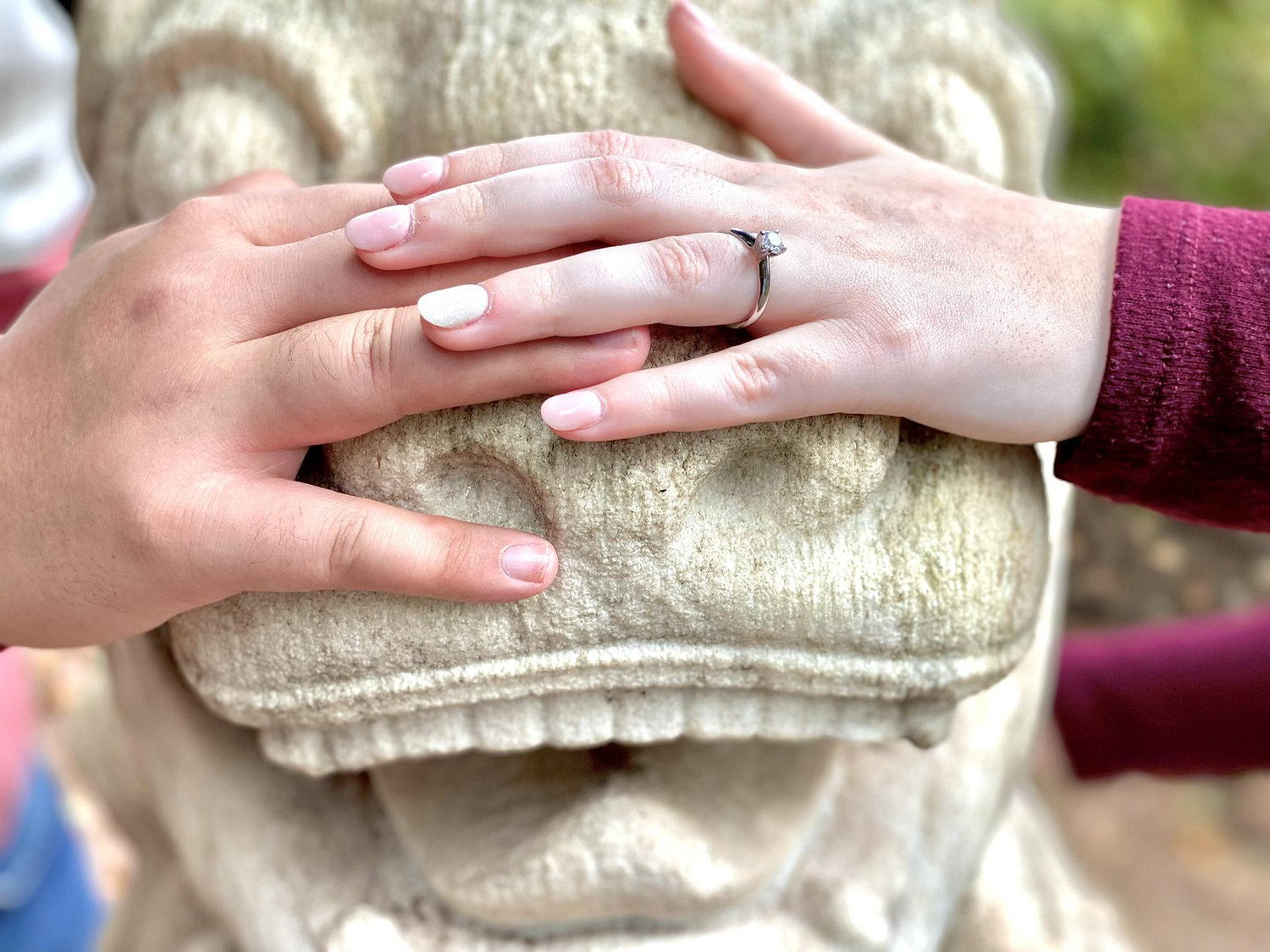 Viki and Frank got engaged in the Oriental Gardens at Wickham Park, close to the Emerald Room and Irish Gardens!