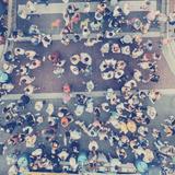 Chicago Street Festivals