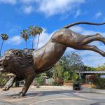 San Diego Zoo