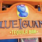 Blue Iguana Tequila Bar
