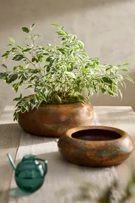 Round Shoulder Iron Bowl Planter