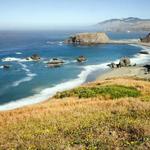 Goat Rock State Beach