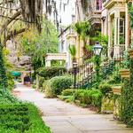 Savannah Squares