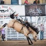 Francis City Rodeo - Kamas, Utah