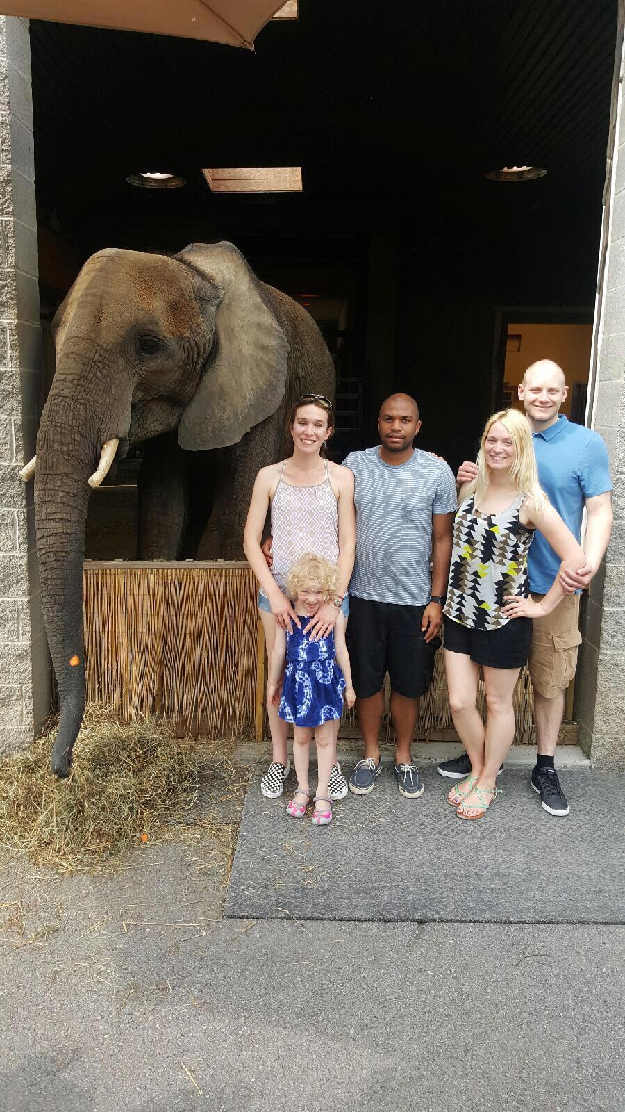 Petting an elephant at the Pittsburgh Zoo