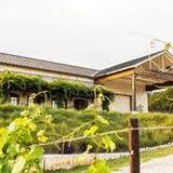 Valley Mills Vineyards