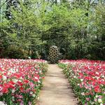 Dixon Gallery & Gardens