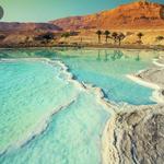 The Dead Sea