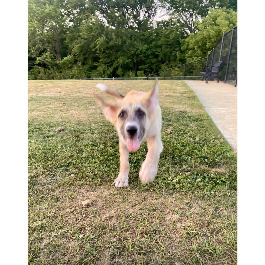 She was a very happy