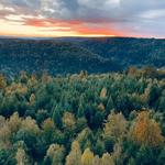 Hohe Warte, Lookout tower