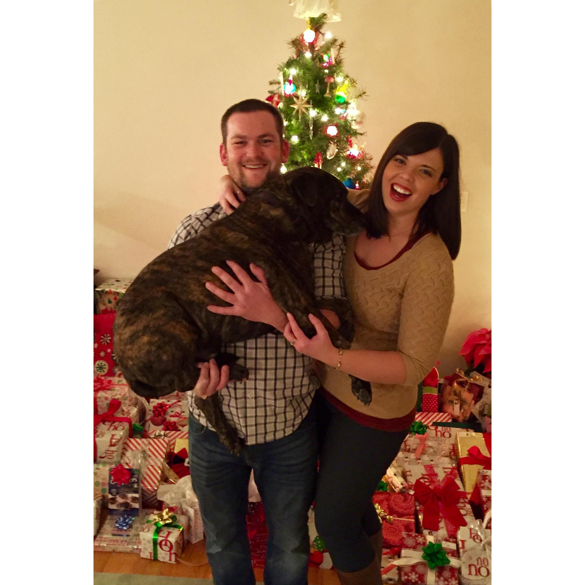 December 2015 - Our first try at a holiday family photo - Sunnyvale CA