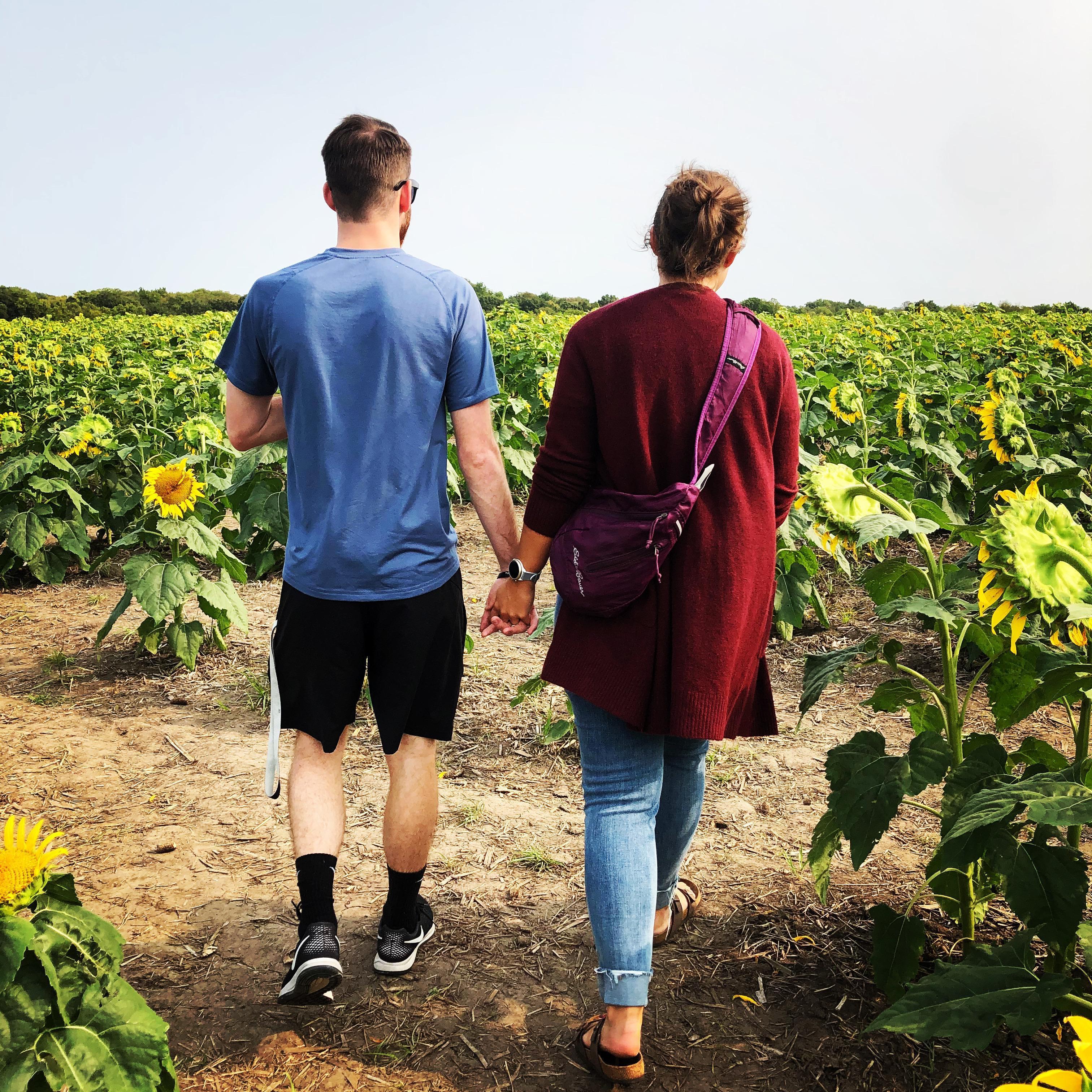 A walk in the sunflower patch!