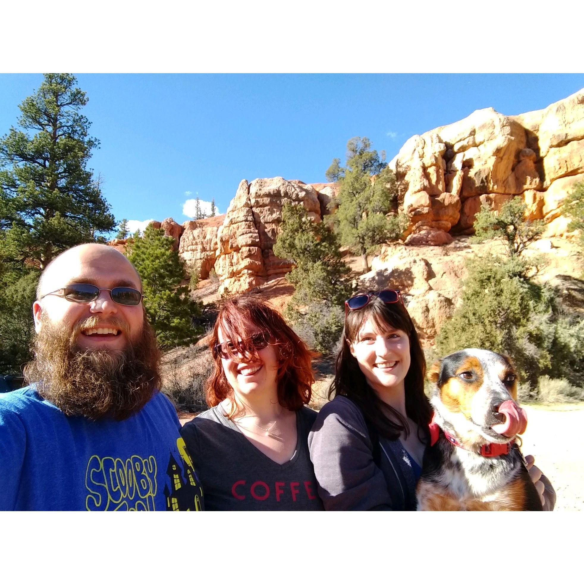 Adventure with the roommate Amy and her dog Boots! We drove through Zion National Park on the way to Kanab, UT.