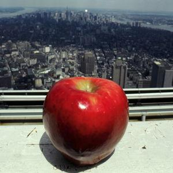 Lunch in the Big Apple