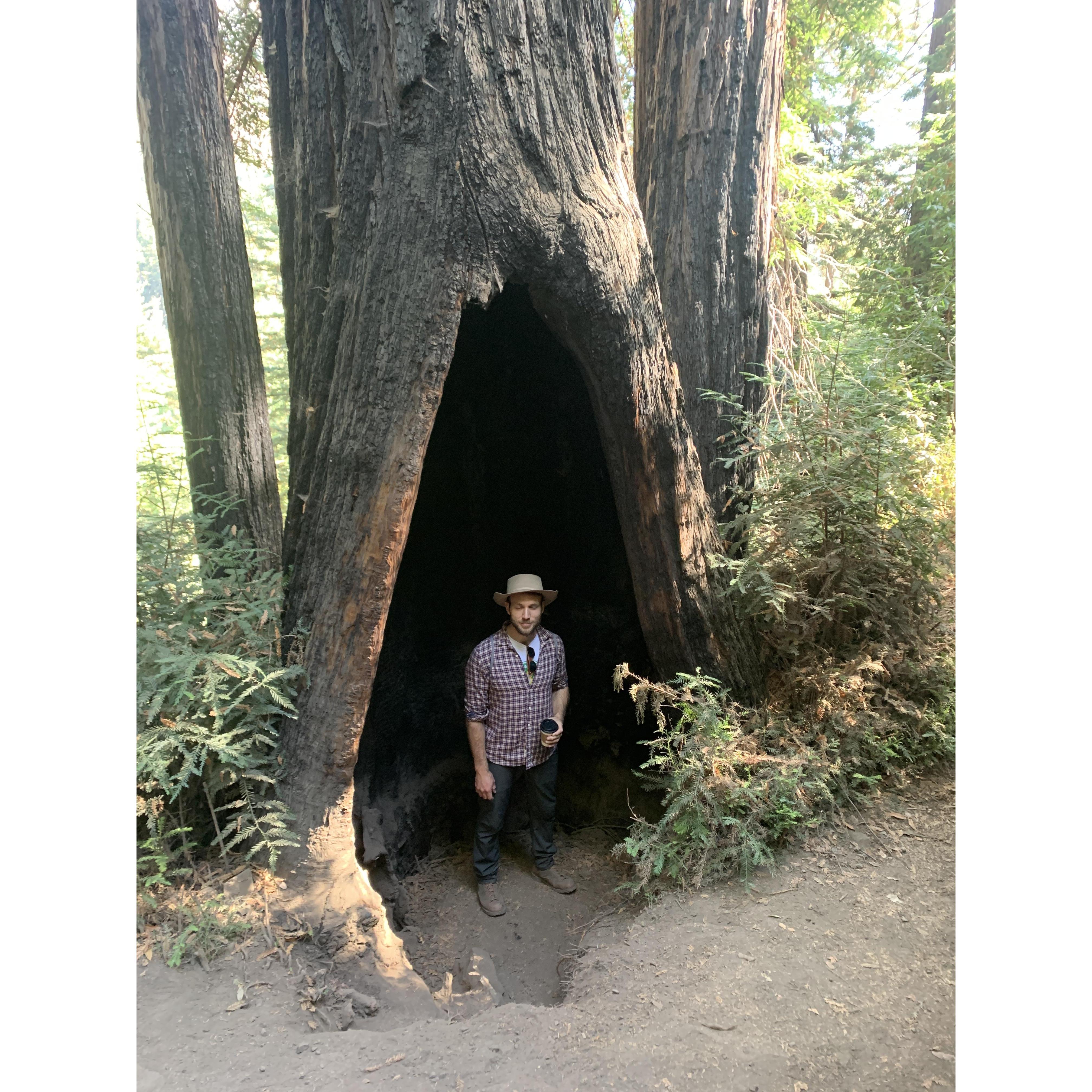 BIG SUR, CA 2019