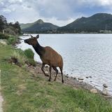 Estes Park