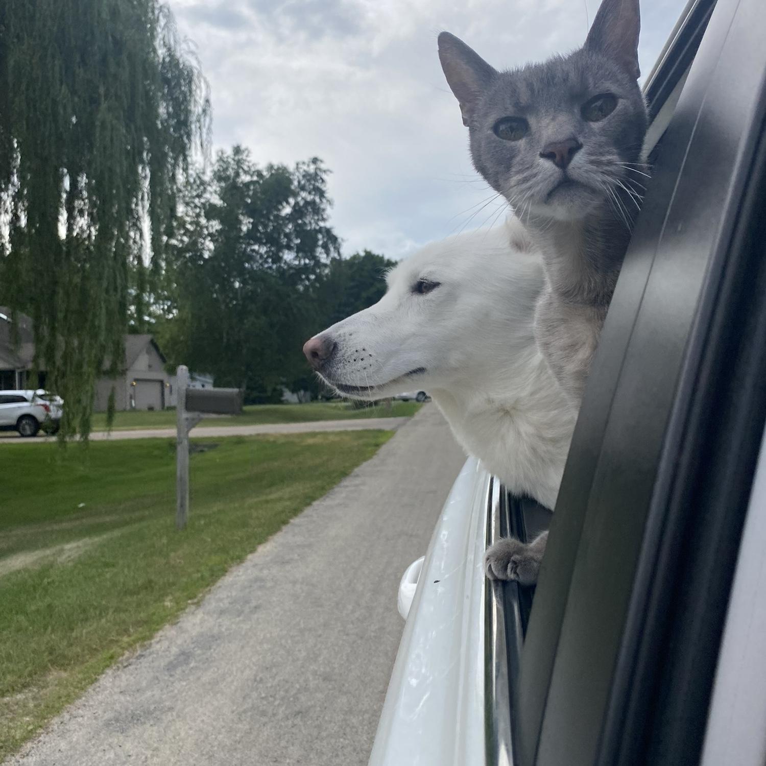 Road trippin with the kids!