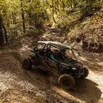 Horseback Riding and ATV Tours