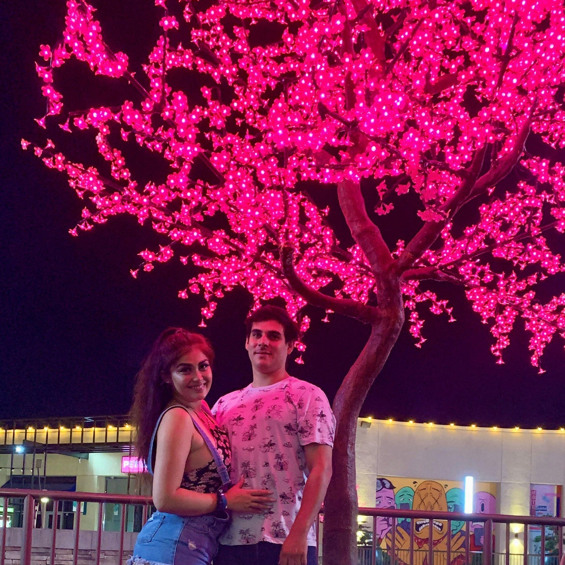 Anaheim Garden Walk 2019