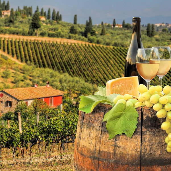 Tuscan Winery Tour