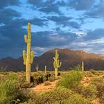 McDowell Mountain Regional Park