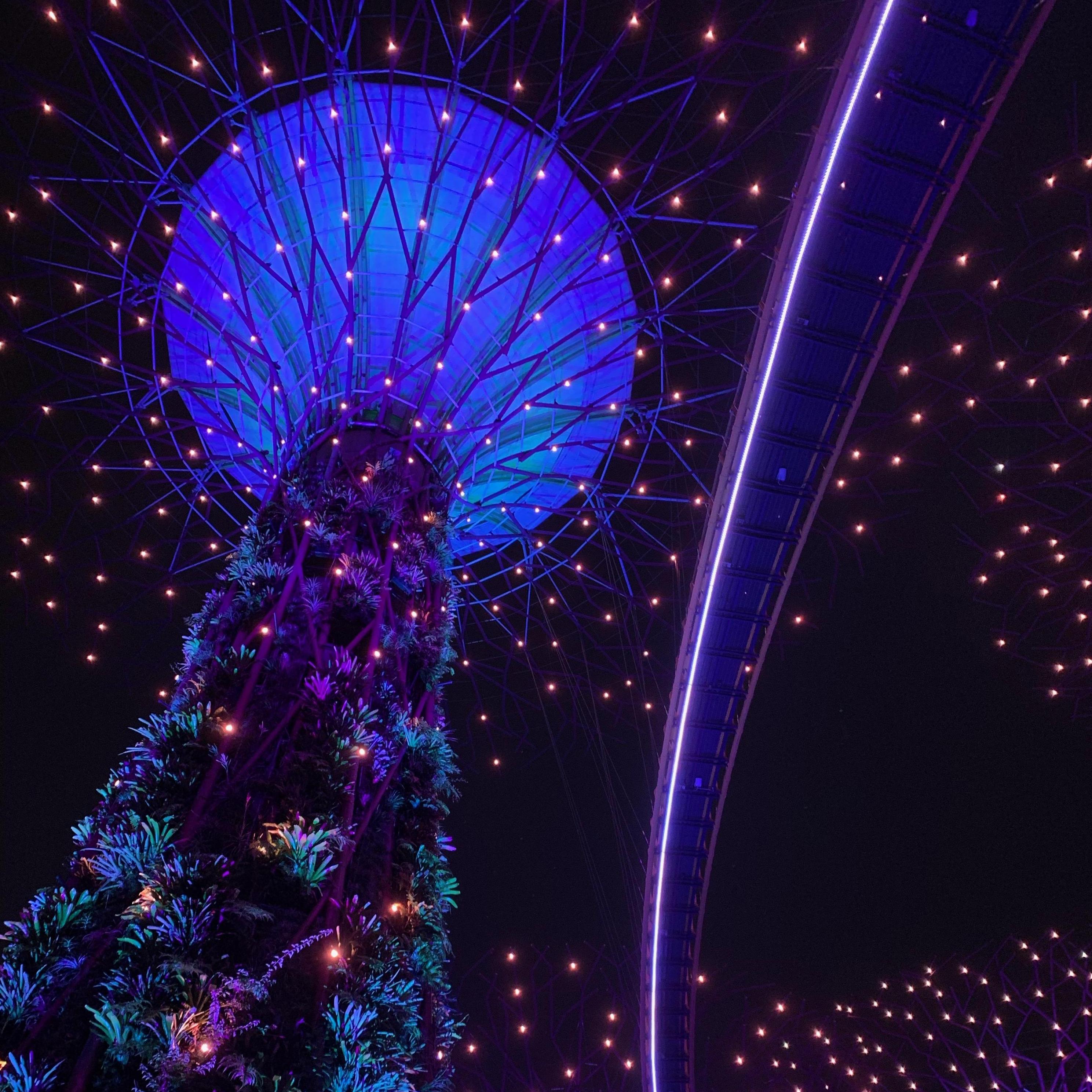 Proposal location- Super Trees at Gardens by the Bay in Singapore