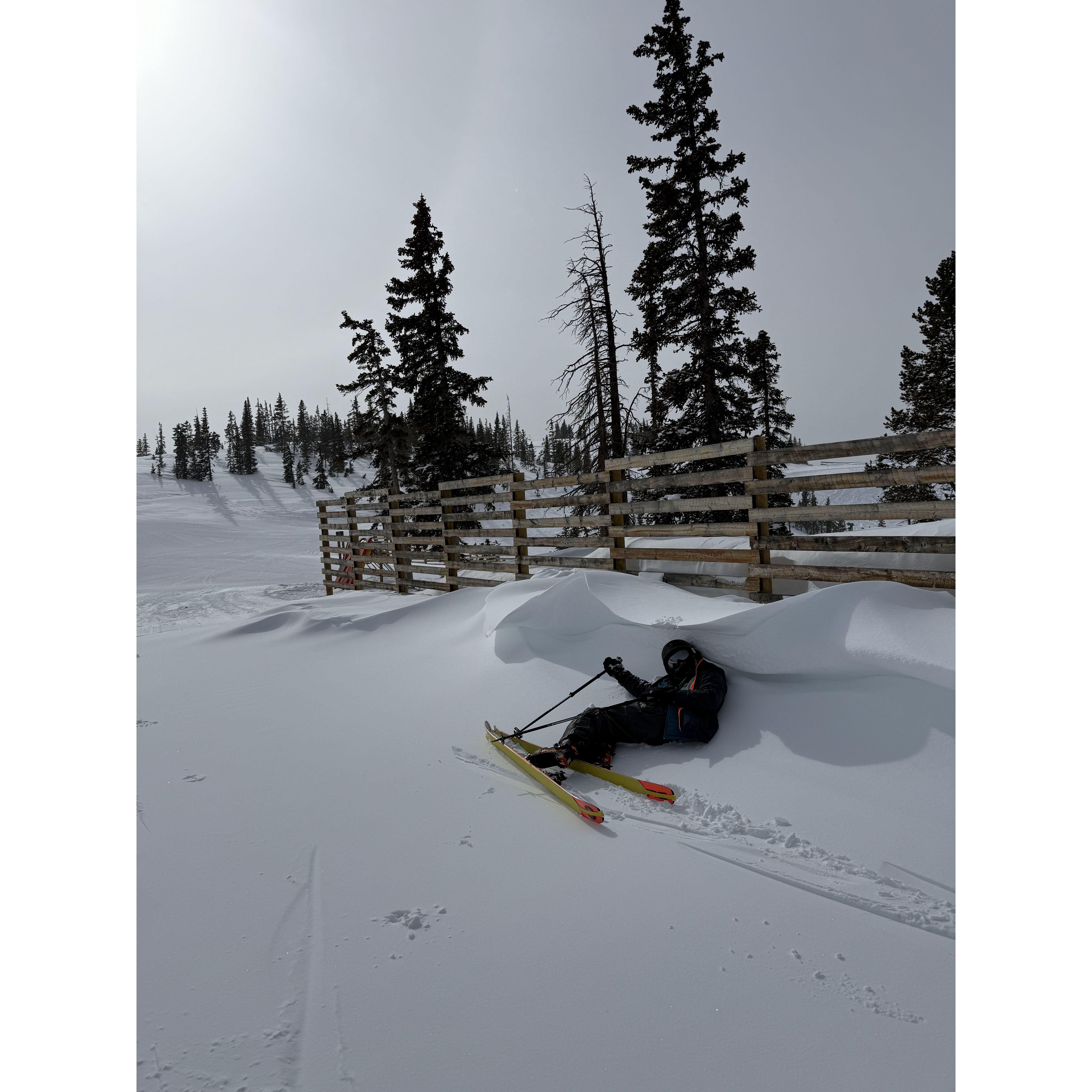 Jan 19: BABY CORNICE!