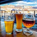 Check Out a Brewery