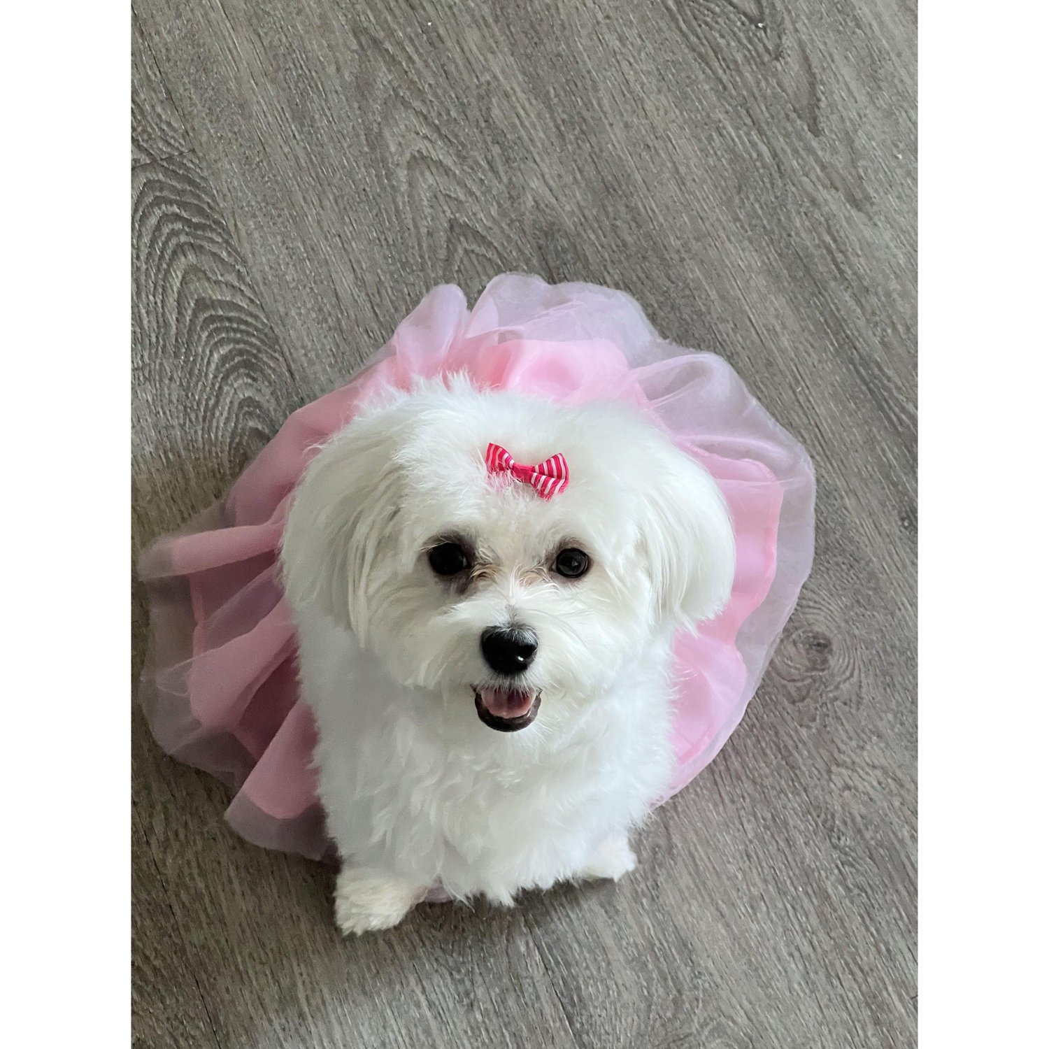 Chloe girl <3