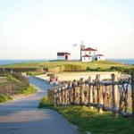 Shop & Sightsee