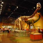 Fort Worth Museum of Science and History