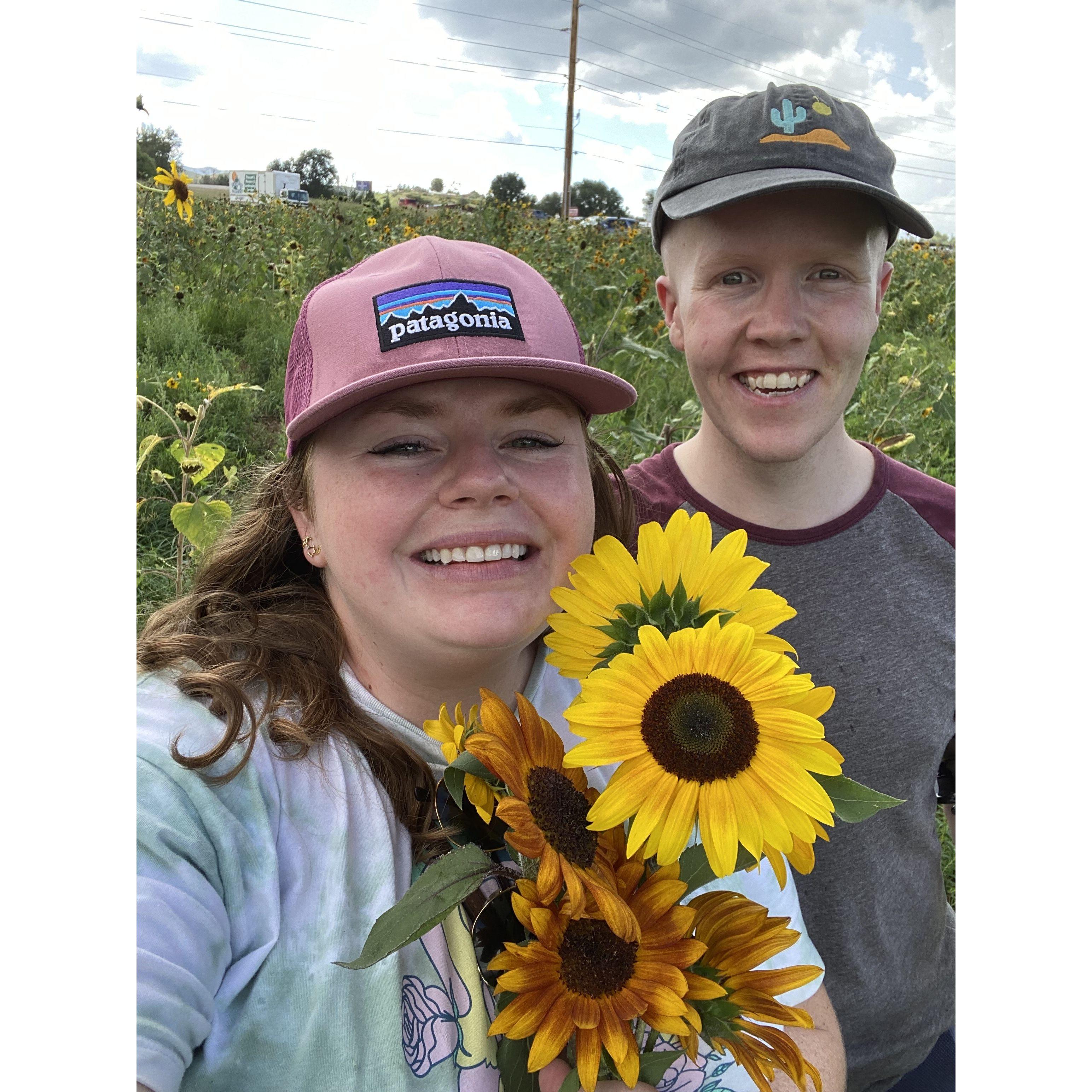 Moritmer Farms in Dewey, AZ for the Sunflower festival in Sept 2022