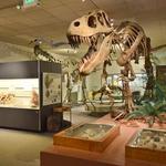 BYU Museum of Paleontology