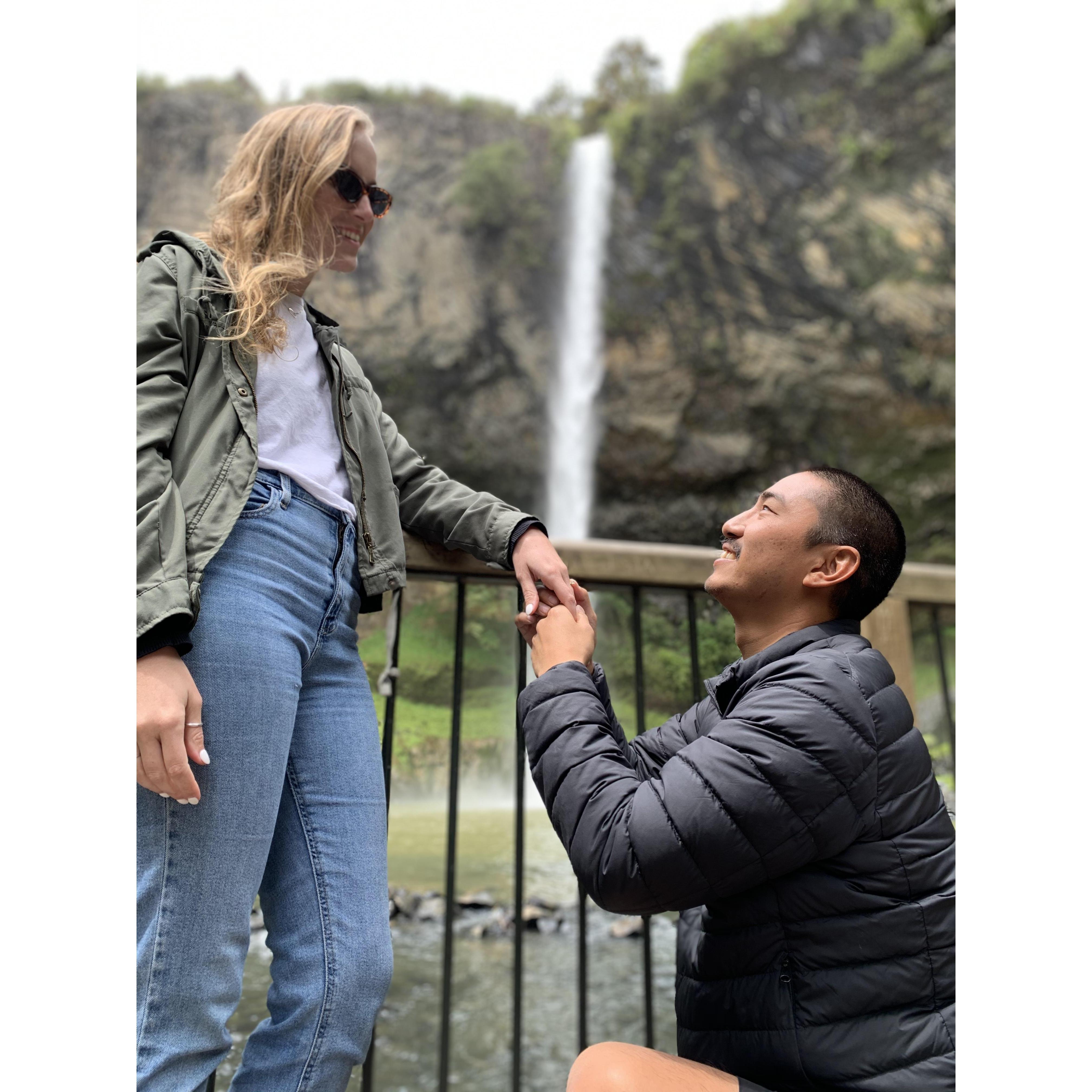Kim's family made Koko re-propose everywhere they went in New Zealand