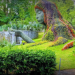 Atlanta Botanical Garden