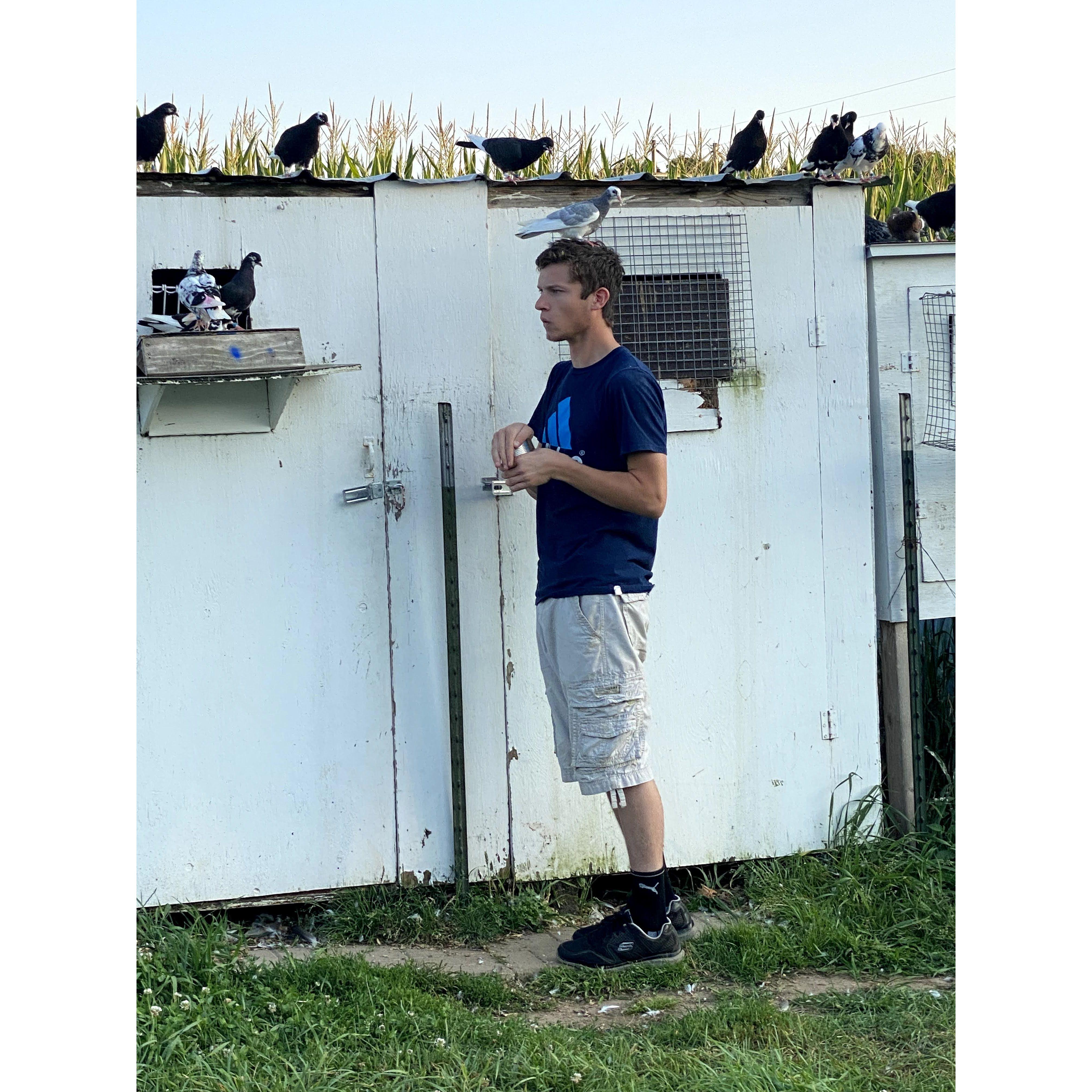 Sam with his pigeons