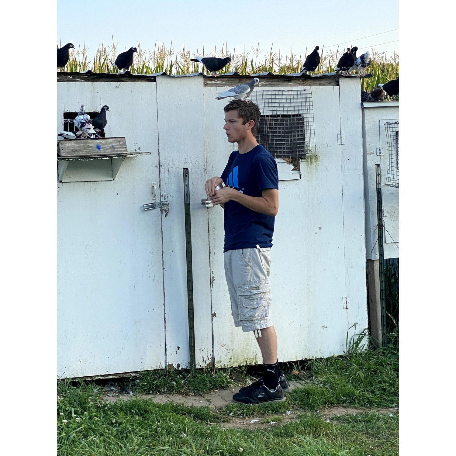 Sam with his pigeons