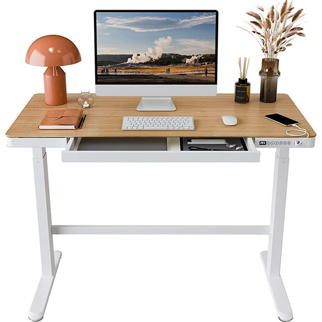 FLEXISPOT EB8 Standing Desk with Drawers Electric Sit Stand up Desk with Storage 48 x 24 Inches Bamboo Texture Desktop and Height Adjustable White Frame (USB Charge Ports, Child Lock)